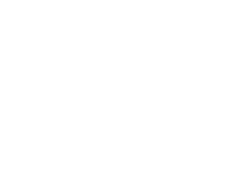 McCain_logo