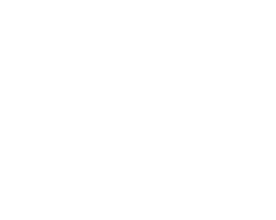 Bausch Lomb