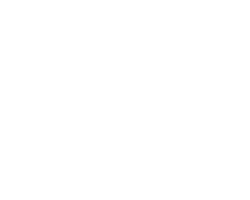 Moduslink